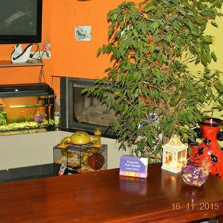 كراكوفيا Honey Hostel المظهر الخارجي الصورة